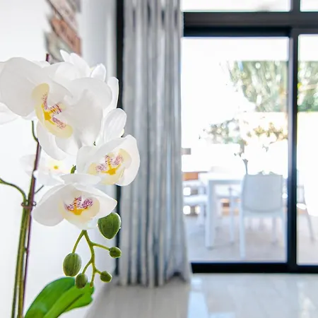 Apartamento 2 Bedroom Playa De Americas *